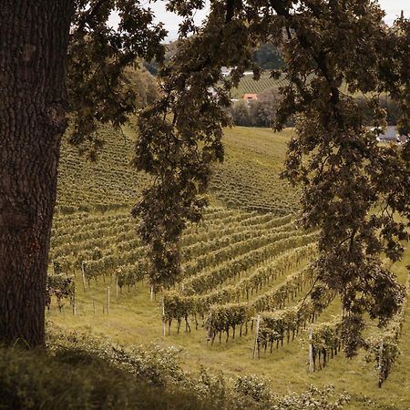 Weingut Assigal Villa Leibnitz Kültér fotó
