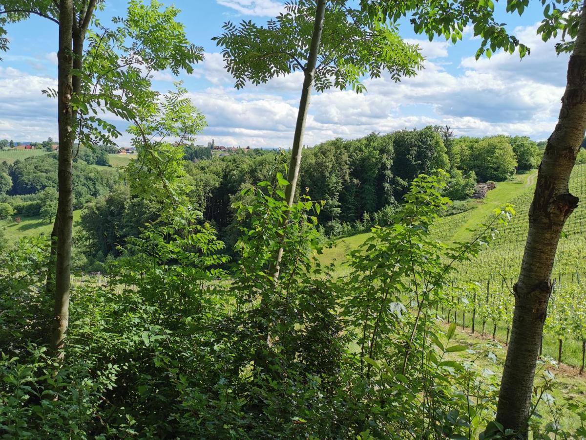 Weingut Assigal Villa Leibnitz Kültér fotó